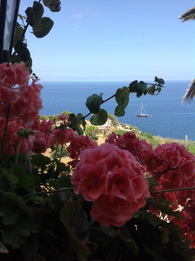 Mar I Vent Hotel Banyalbufar Buitenkant foto